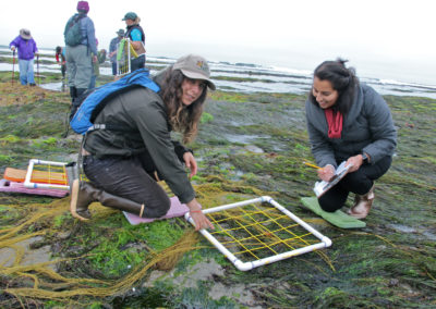 Hiring LiMPETS Marine Science Education Fellow