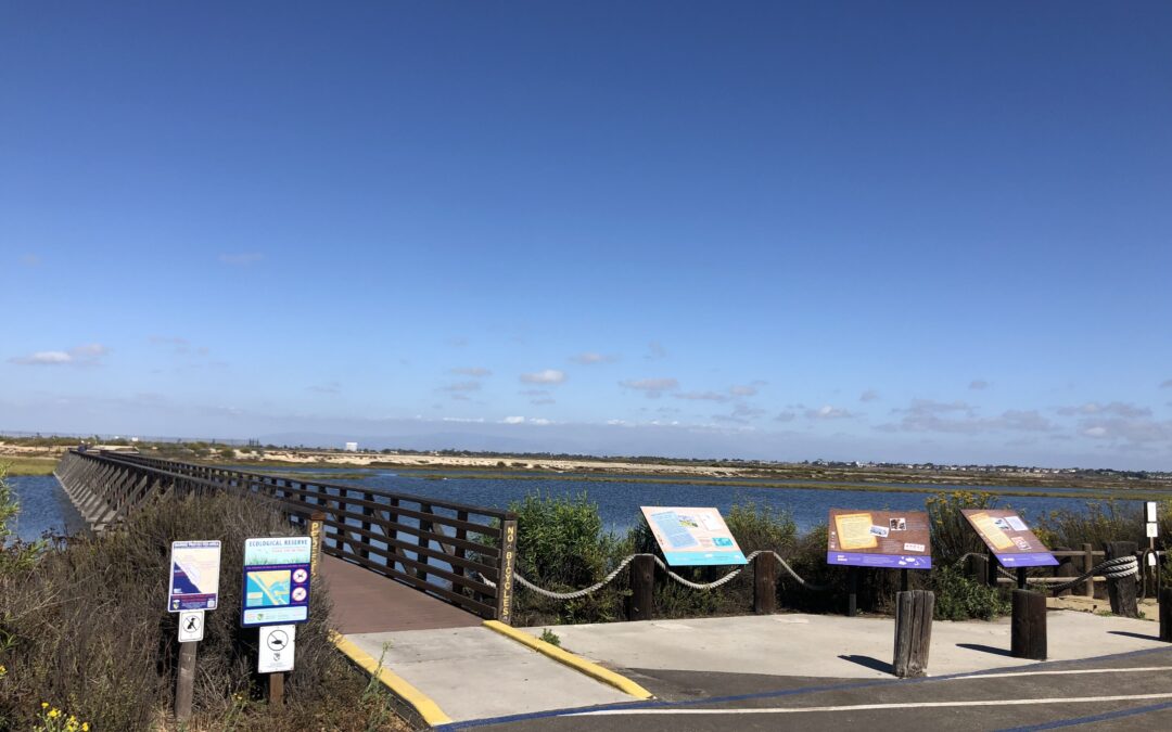 Exploring California’s Marine Protected Areas: Bolsa Chica Wetlands