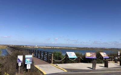 Exploring California’s Marine Protected Areas: Bolsa Chica Wetlands