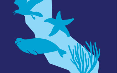 Help document California’s incredible biodiversity with Snapshot Cal Coast