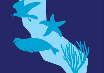 Help document California’s incredible biodiversity with Snapshot Cal Coast