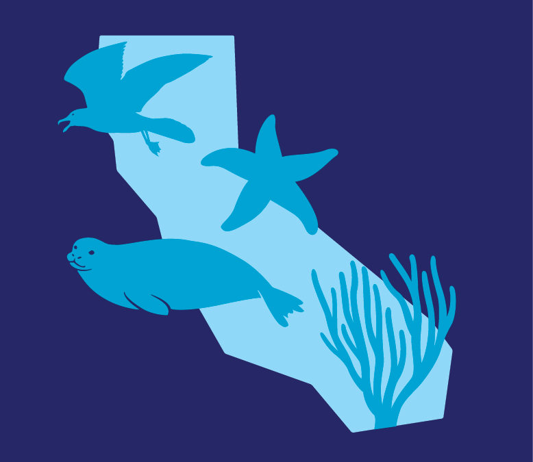 Help document California’s incredible biodiversity with Snapshot Cal Coast