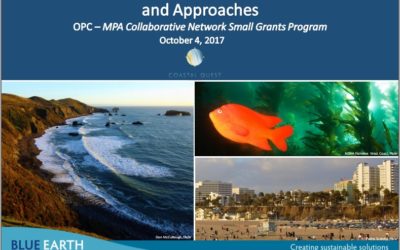 Blue Earth Delivers Fundraising Webinar