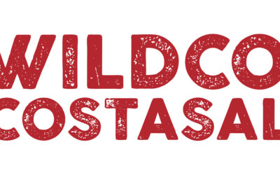 WILDCOAST’s Coastal Leaders Internship for Indigenous Youth in San Diego County – Deadline August 27