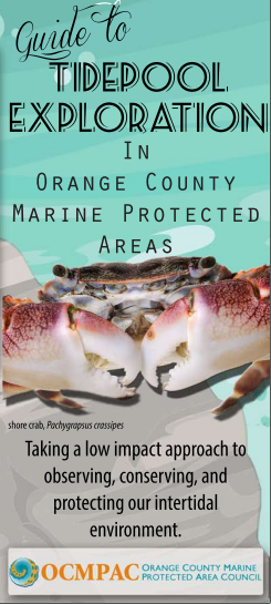 Guide to Tidepool Exploration in Orange County MPAs Brochure