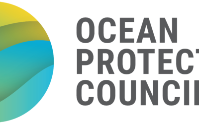 Dive into MPA long-term monitoring results with a summer webinar series and snapshot reports