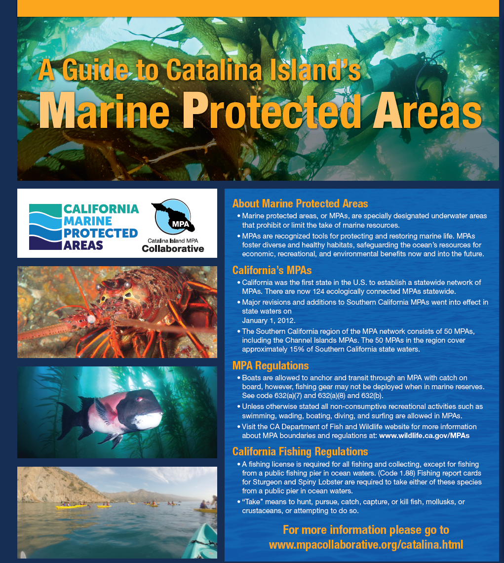 Catalina Island MPA Poster