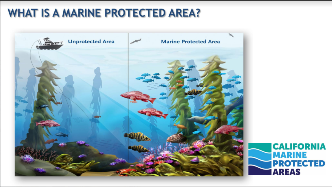 Kid’s Ocean Day Slides