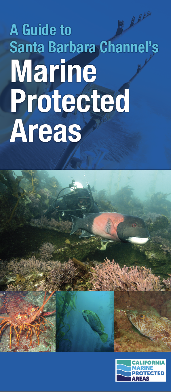 A Guide to Santa Barbara Channel’s MPAs