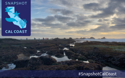 SUMMER Snapshot Cal Coast 2020