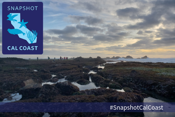 SUMMER Snapshot Cal Coast 2020