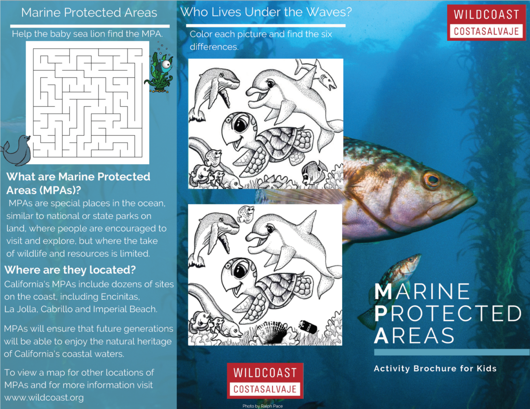 MPA Activity Brochure for Kids