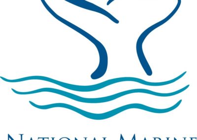 Beach Watch Surveyors Needed! Become a Sanctuary Volunteer and Steward of our Coast