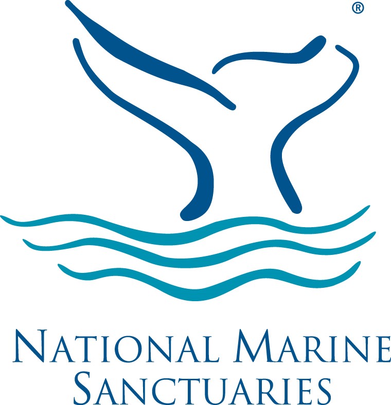 Beach Watch Surveyors Needed! Become a Sanctuary Volunteer and Steward of our Coast