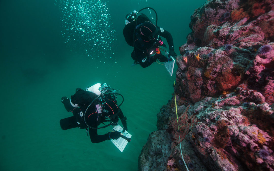 Applying a Climate Change Lens to California’s MPA Network
