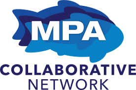 MPA Compliance Initiative: 2020 Wrap-Up