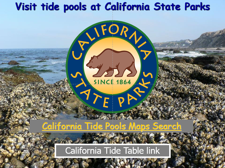 Let’s Discover Tidepools PowerPoint