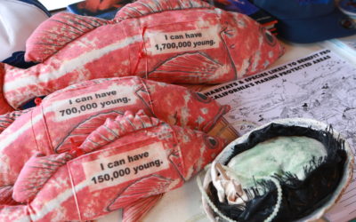 Stay home, save lives, and stay busy with these resources