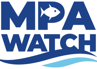 MPA Watch 2020 annual reports are available!
