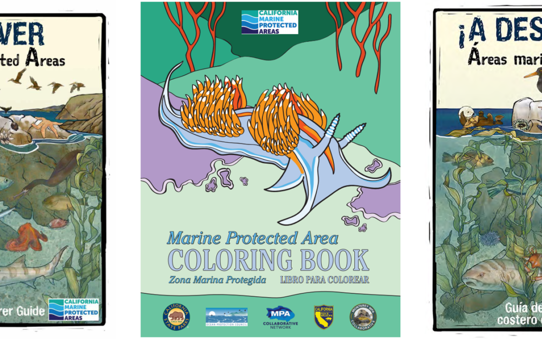 Blending Tradition and Tech – A Monterey and San Luis Obispo MPA Collaborative Project