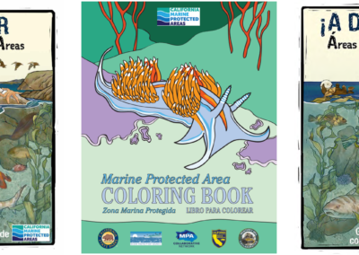 Blending Tradition and Tech – A Monterey and San Luis Obispo MPA Collaborative Project