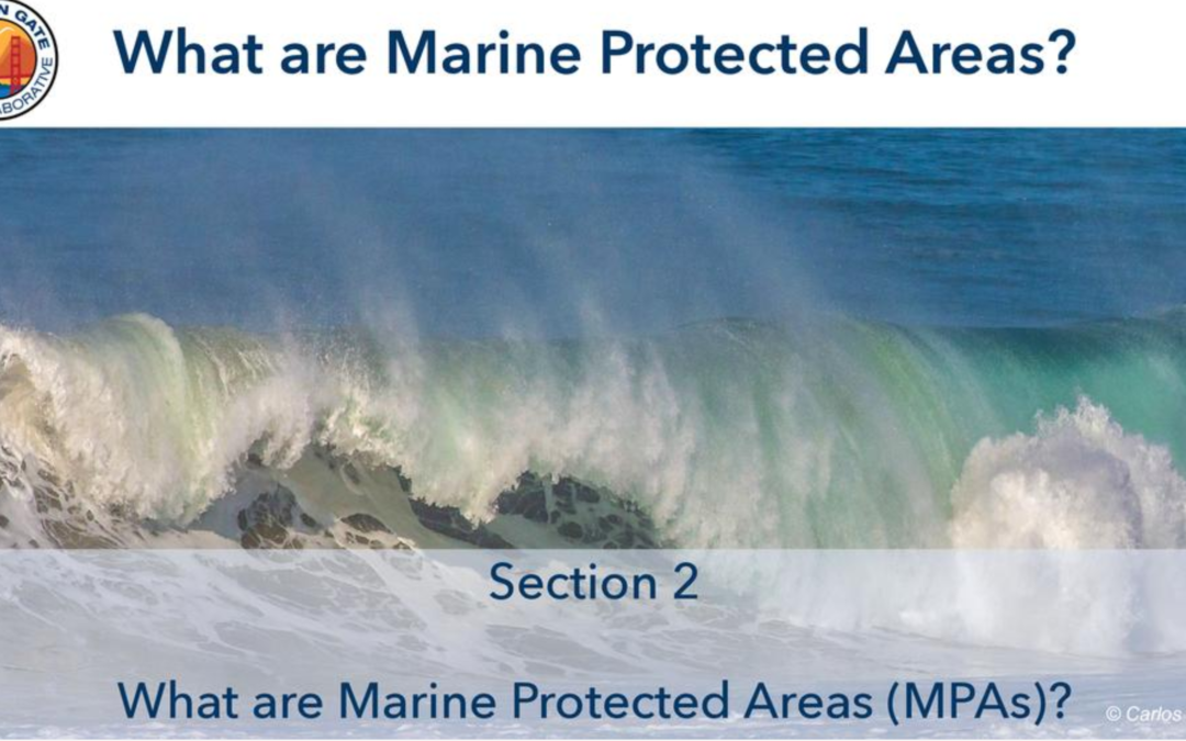 MPA Training Modules for Awareness and Compliance – A Golden Gate MPA Collaborative Project