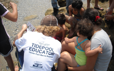 Compliance and Enforcement Updates for Summer 2020