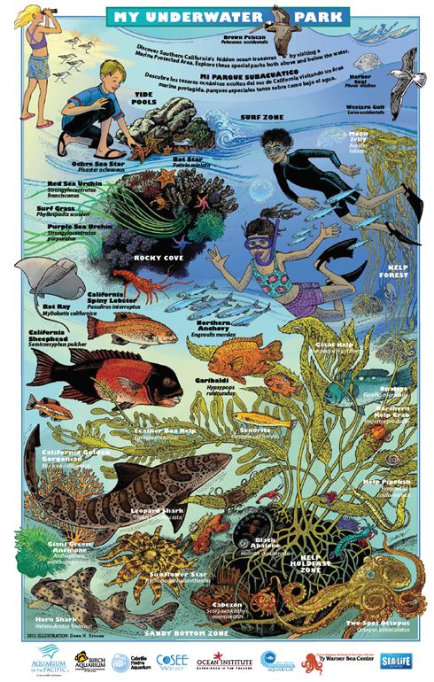 MPA Underwater Parks Posters
