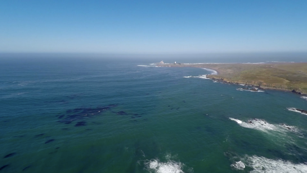 The Marine Protected Areas of San Luis Obispo County – Piedras Blancas and Cambria
