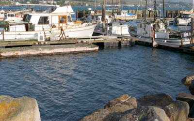 MPA Update: Fishing communities discuss protected areas impacts