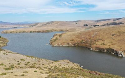 Join our Estuary Working Group!