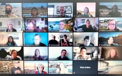 Reflections and resources from the California Coastal Wildlife Disturbance Symposium 2020