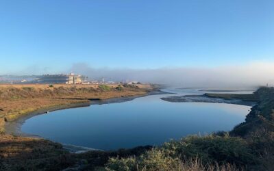 San Diego Coastal Marshes May Become Important Tools to Battle Climate Change