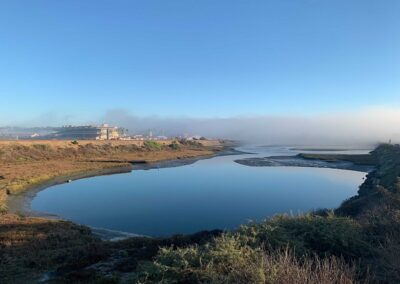 San Diego Coastal Marshes May Become Important Tools to Battle Climate Change