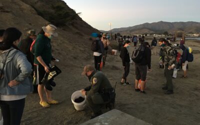 MPA Collaboratives partner with California Department of Fish & Wildlife for tidepool outreach