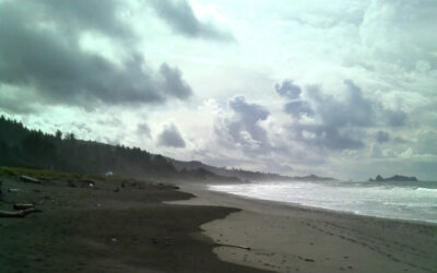 Tying Traditional Knowledge to Ocean Stewardship: The Del Norte MPA Collaborative