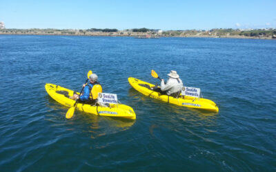 Otters and Online Lessons: The San Luis Obispo Marine Protected Area Collaborative
