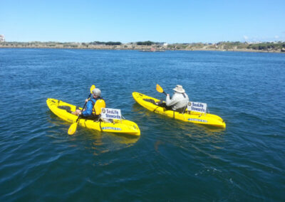 Otters and Online Lessons: The San Luis Obispo Marine Protected Area Collaborative