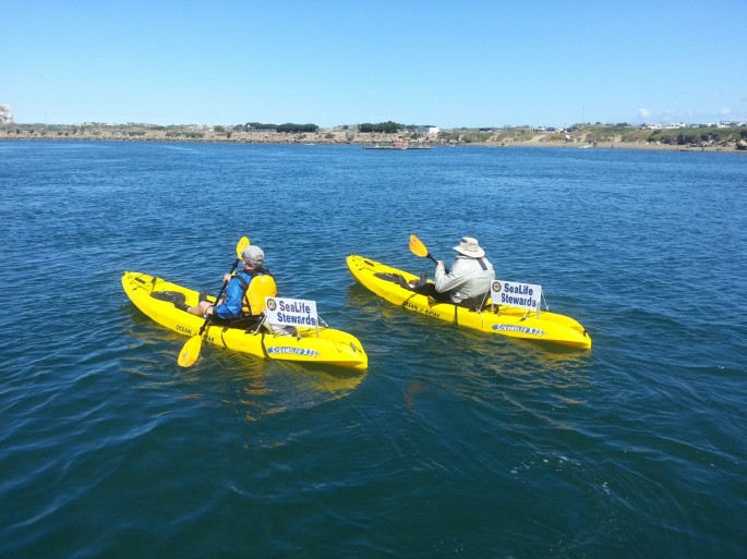 Otters and Online Lessons: The San Luis Obispo Marine Protected Area Collaborative