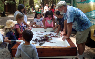Sonoma Marine Protected Area Collaborative: Connecting Land and Sea