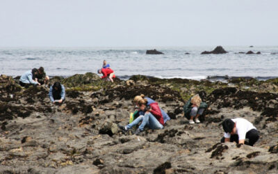 Celebrating 50 Years of Protection at Fitzgerald Marine Reserve