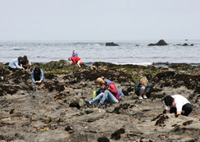 Celebrating 50 Years of Protection at Fitzgerald Marine Reserve