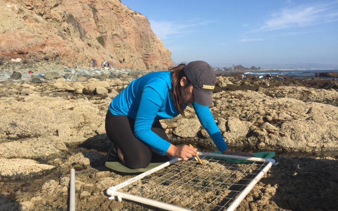 MPA update: Observing the space between land and sea