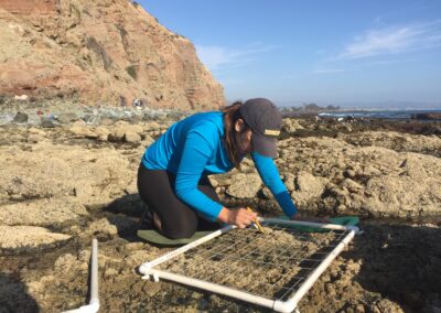MPA update: Observing the space between land and sea