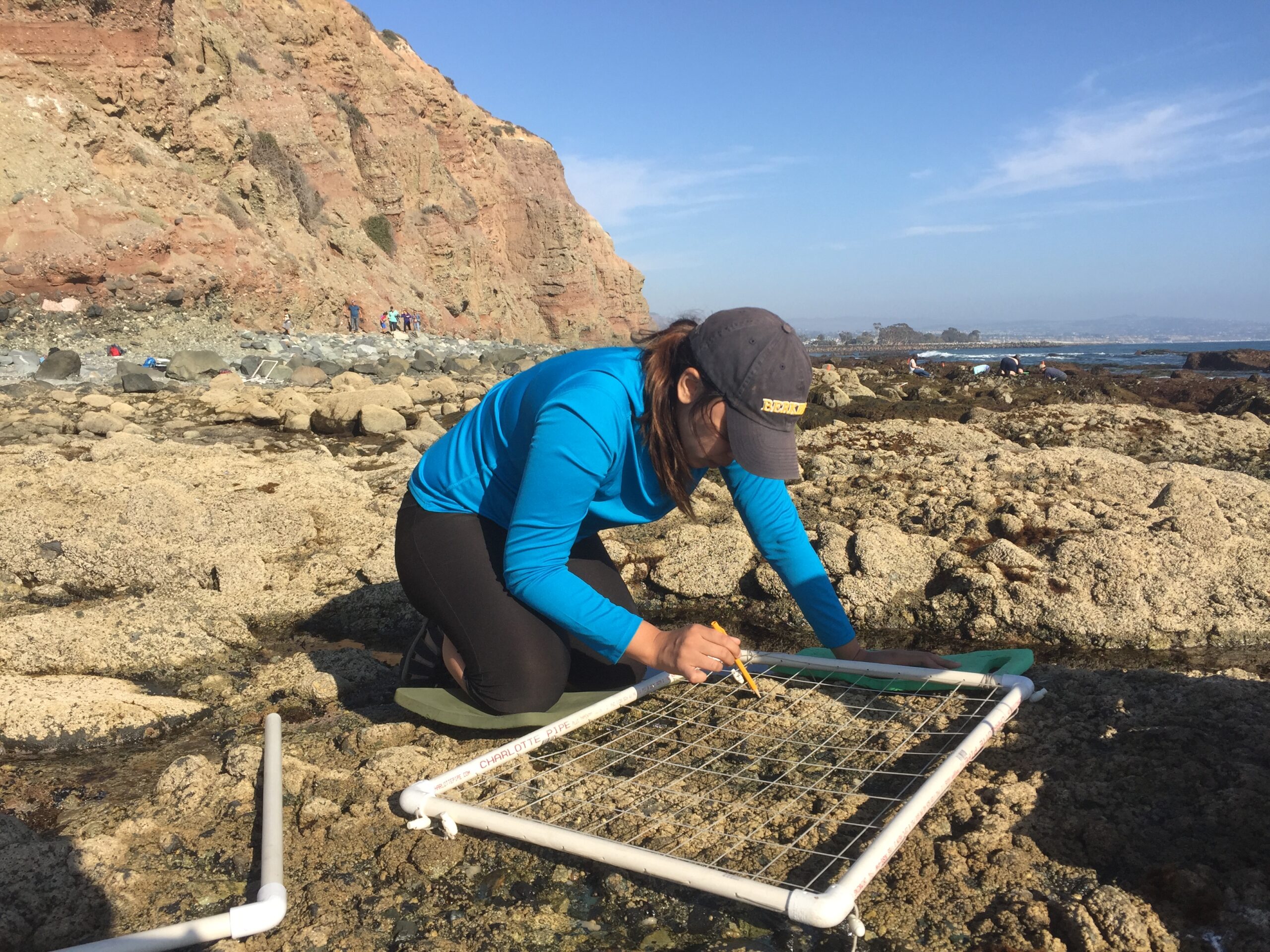 MPA update: Observing the space between land and sea