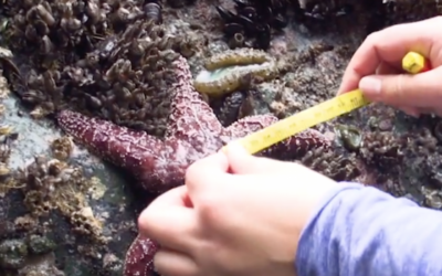 Marine Protected Areas: Research & Monitoring