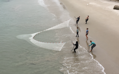 MPA update: Sandy beaches and surf zones offer clues to ocean health