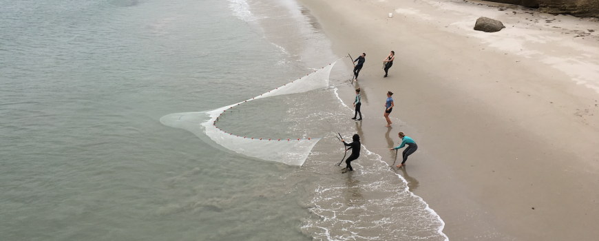 MPA update: Sandy beaches and surf zones offer clues to ocean health