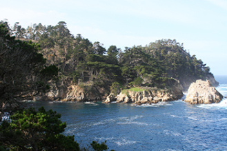 Exploring California’s Marine Protected Areas: Point Lobos State Marine Reserve