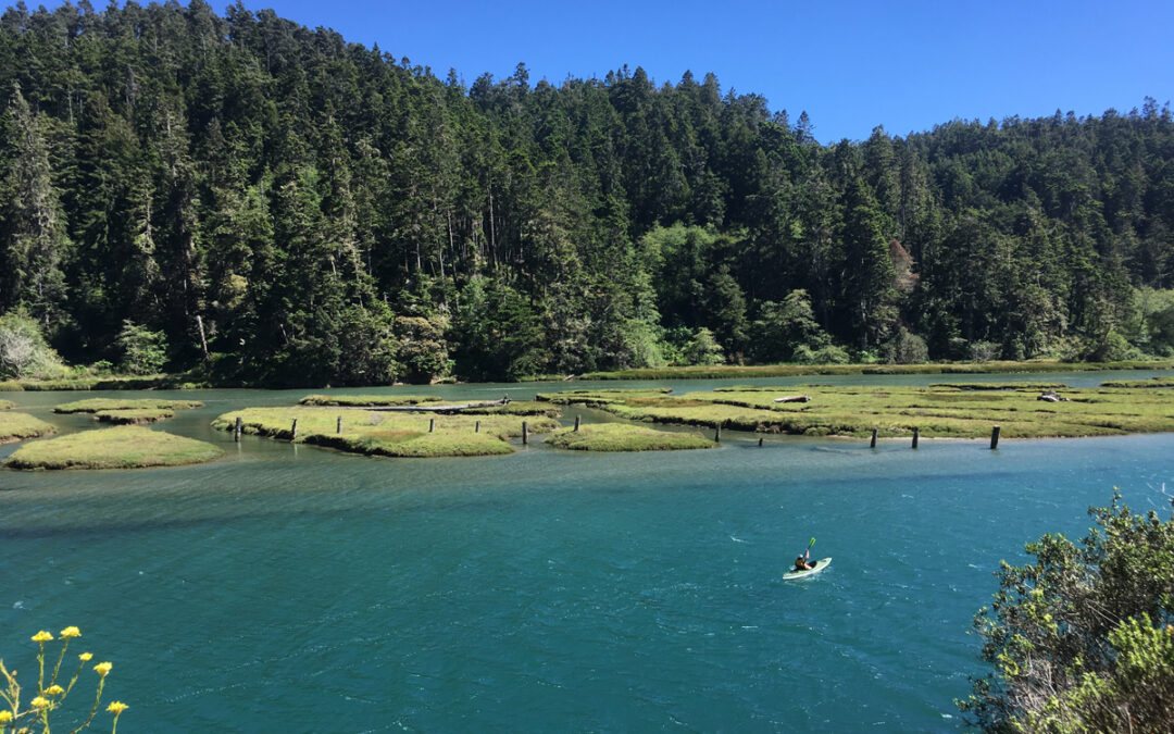 Exploring California’s Marine Protected Areas: Big River Estuary State Marine Conservation Area